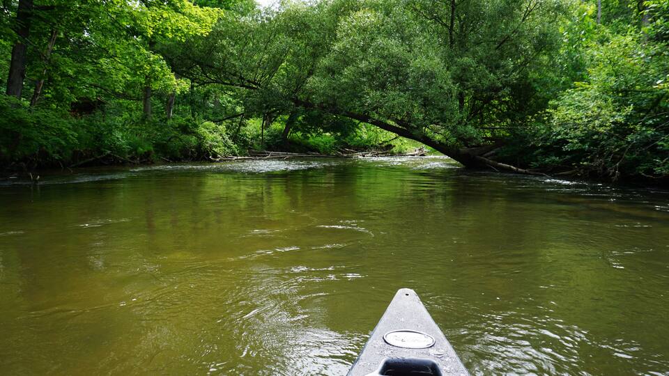 Pine River Scenic River, Wellston, Michigan