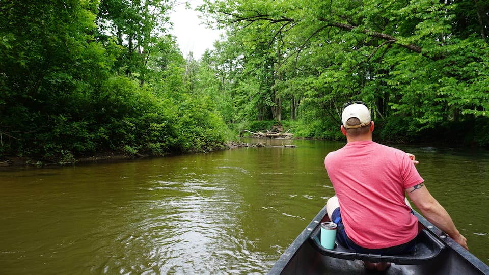 A man in a canoe on a river surrounded by dense green forest.