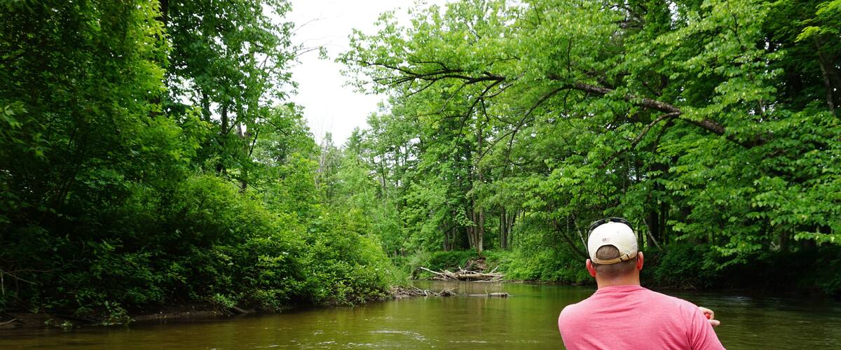 A man in a canoe on a river surrounded by dense green forest.