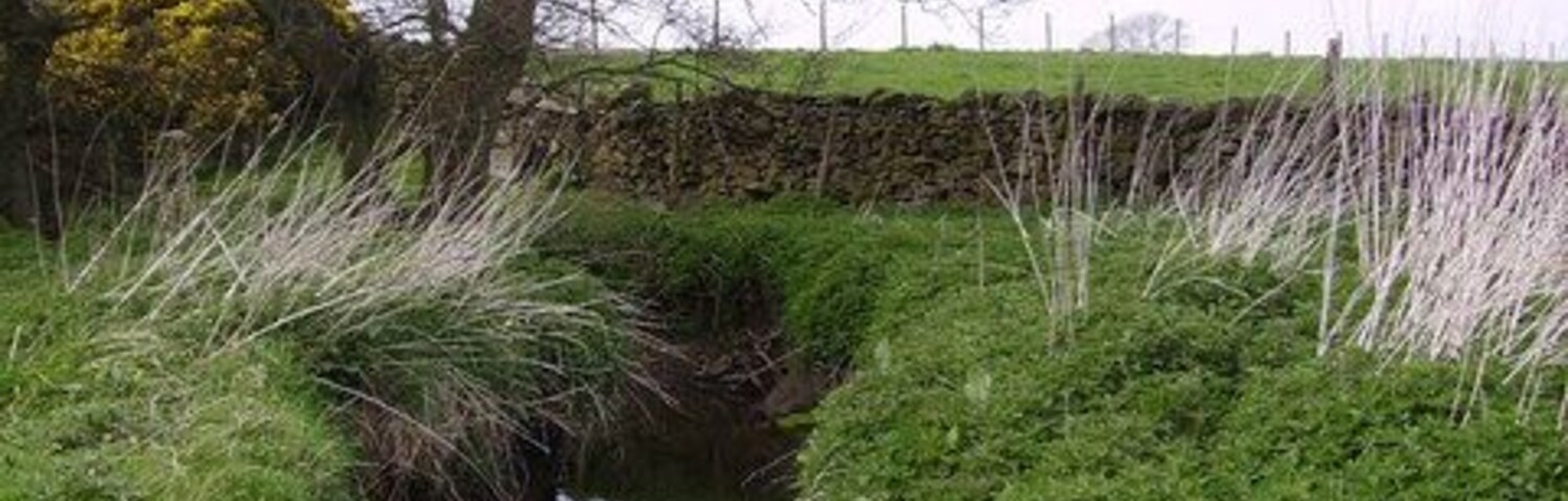 Un arroyo estrecho con un árbol a la izquierda y un muro de piedra al fondo.
