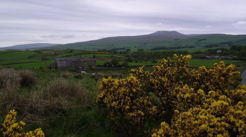 On Clapham Moor. From the unenclosed road on Black Hill.