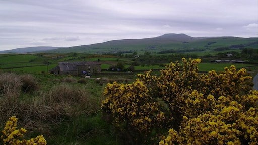 On Clapham Moor. From the unenclosed road on Black Hill.