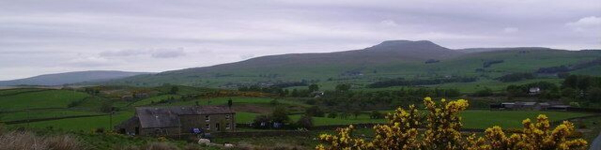 A rural landscape with rolling hills, a stone house, and yellow flowering bushes.