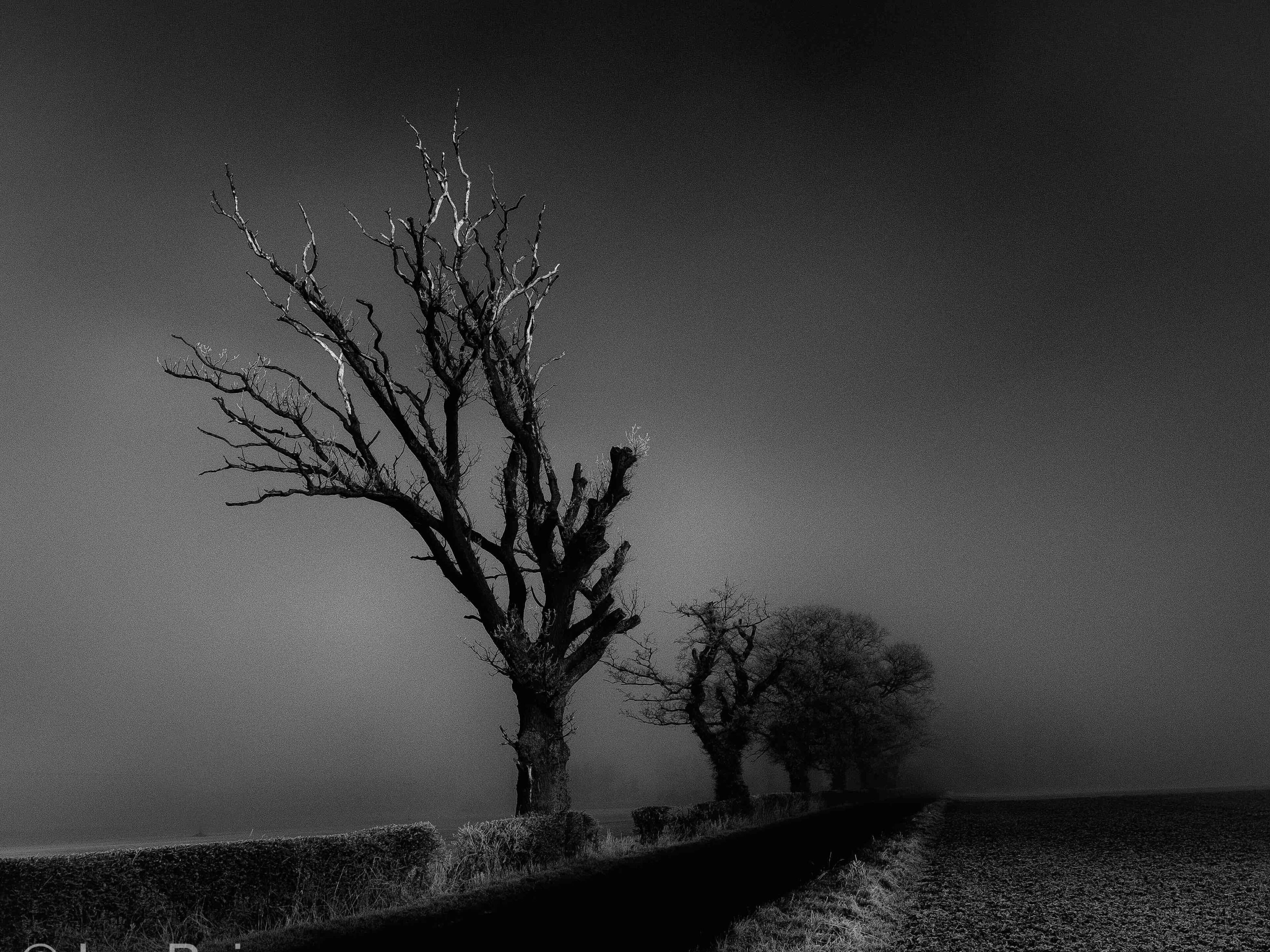 Cold a Scots mist kind of day