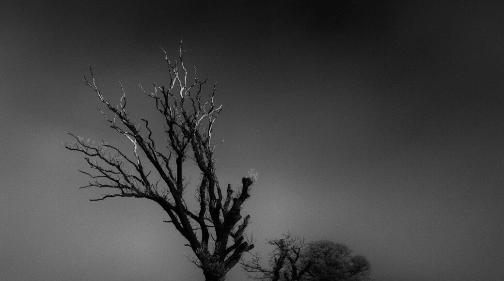 Cold a Scots mist kind of day