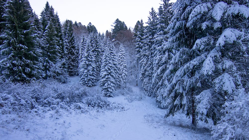 a cold morning on the snowy mountain