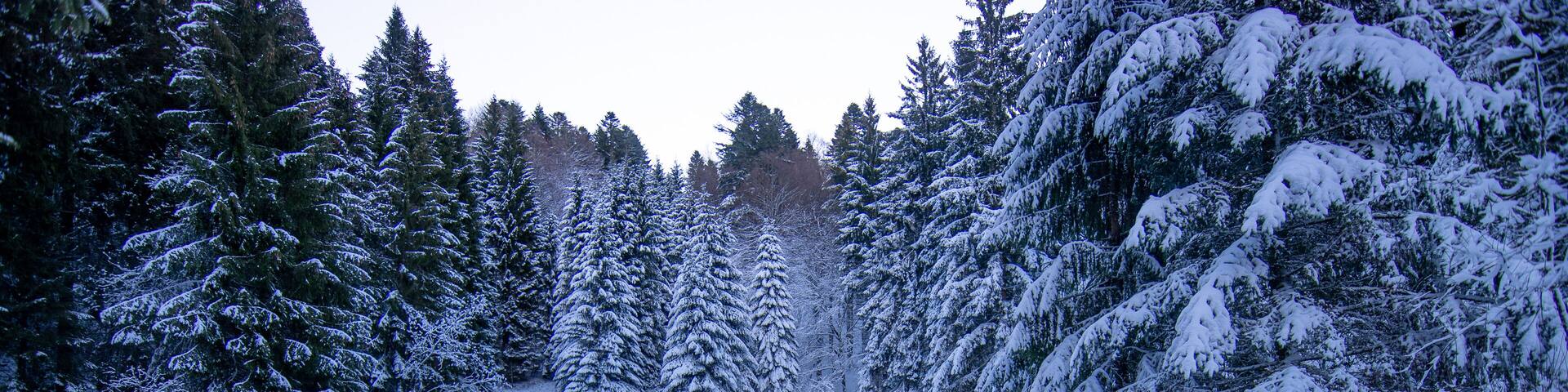 a cold morning on the snowy mountain