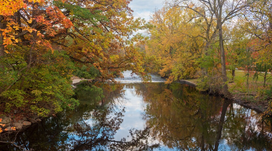 Red Cedar river winding through Michigan State University campus during the Fall