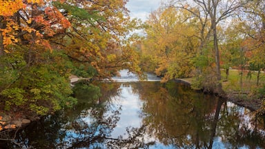 Red Cedar river winding through Michigan State University campus during the Fall