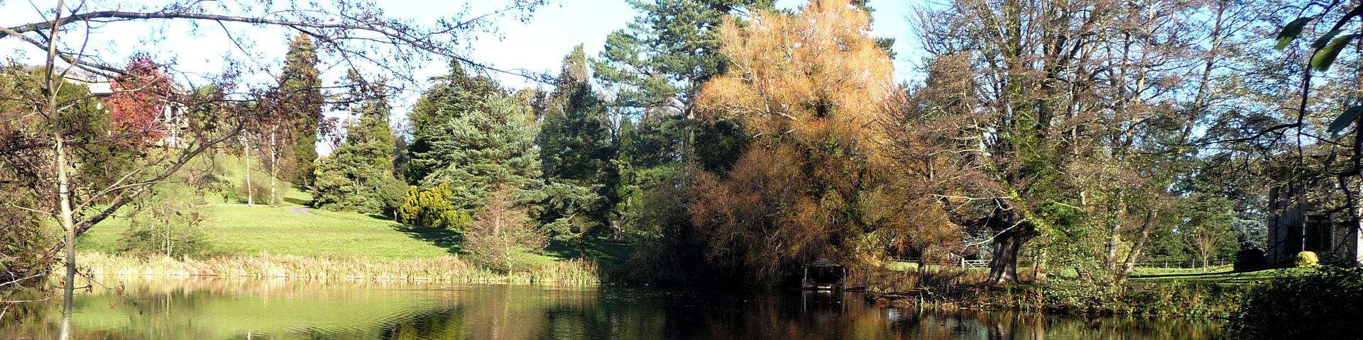 Could not resist this lovely view on one of our few sunny days this Autumn. Forecast said Fog!