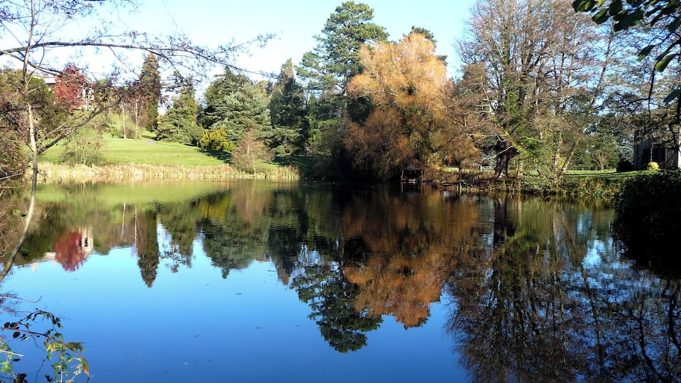 A calm lake with reflections of trees and a grassy area.