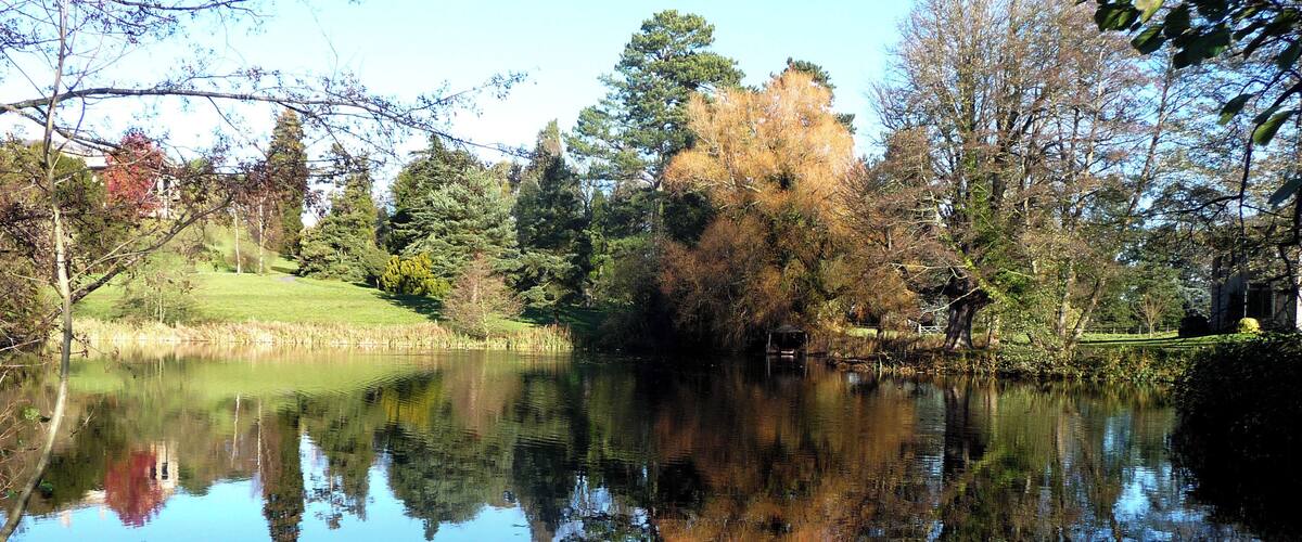 A calm lake with reflections of trees and a grassy area.