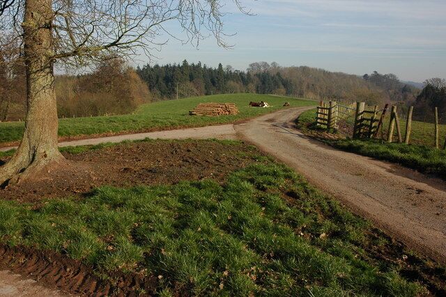 Road passing by Longlands Farm, Whitbourne