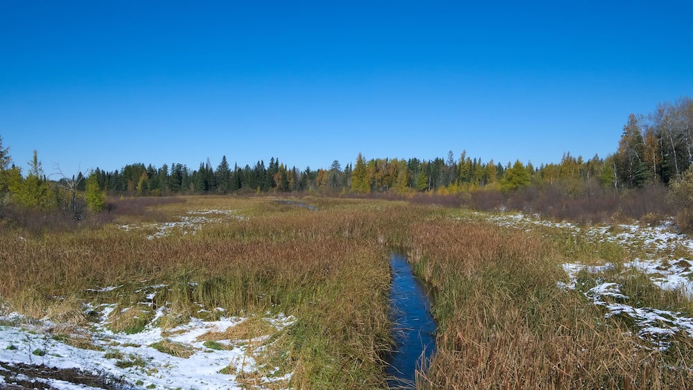 Mississippi River is seen flowing north, about one mile from the source, Lake Itasca. Photo taken from second highway bridge over the river in northern Minnesota.