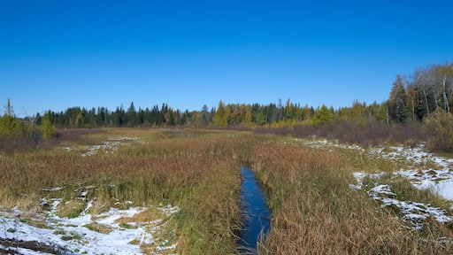 Mississippi River is seen flowing north, about one mile from the source, Lake Itasca. Photo taken from second highway bridge over the river in northern Minnesota.