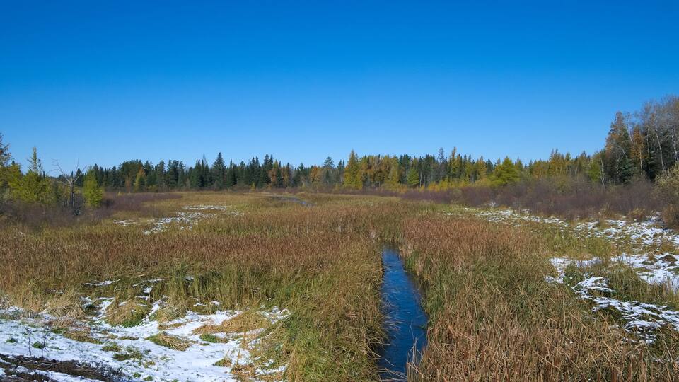 Mississippi River is seen flowing north, about one mile from the source, Lake Itasca. Photo taken from second highway bridge over the river in northern Minnesota.