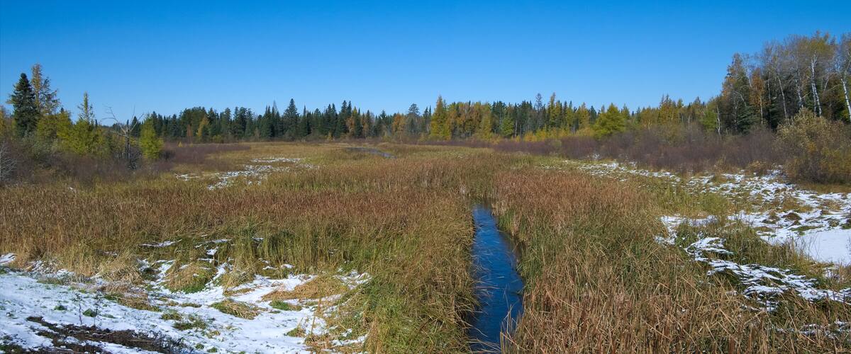 A river meandering through a marshy landscape with patches of snow and dense trees in the background.