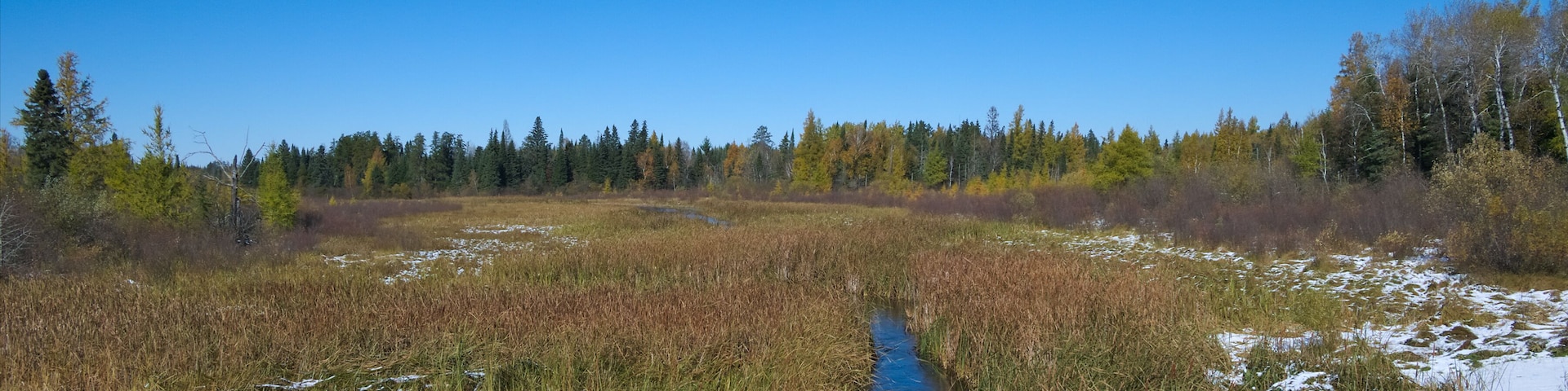 A river meandering through a marshy landscape with patches of snow and dense trees in the background.