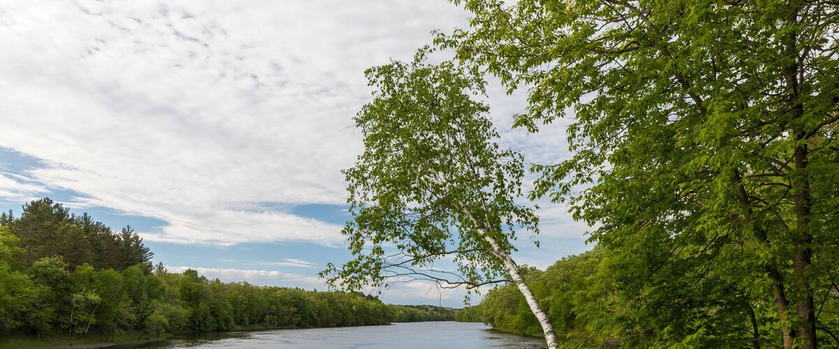 A calm river surrounded by dense green foliage and trees.