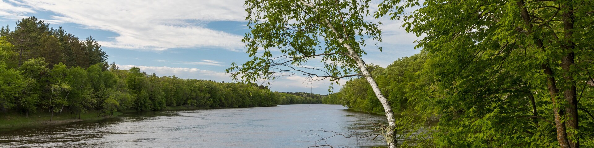 A calm river surrounded by dense green foliage and trees.