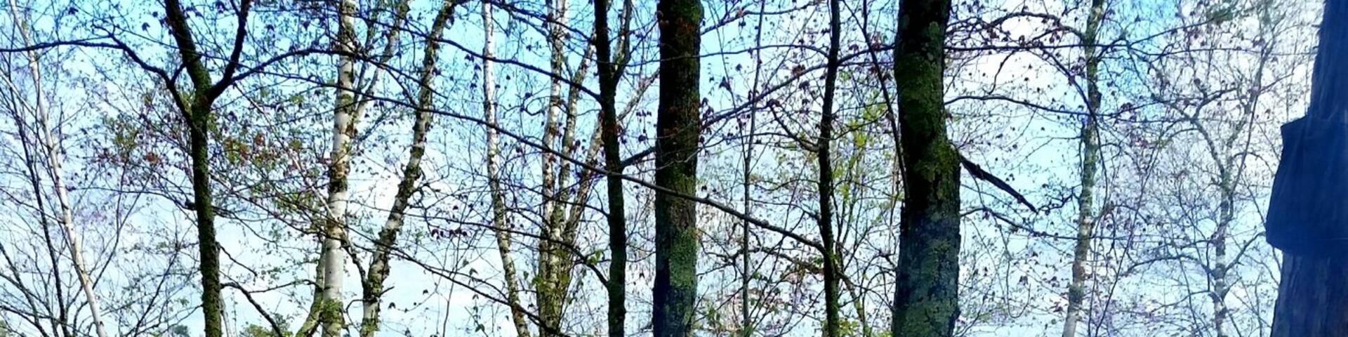 Camping wouldn't be complete without percolated coffee.
