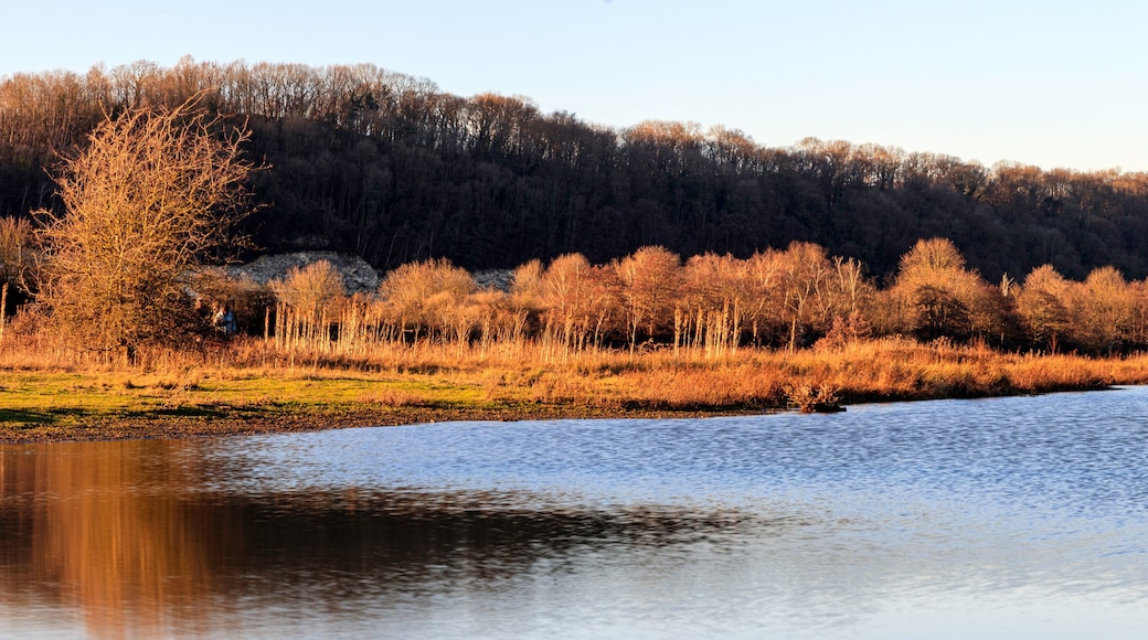 Au bord du Lac au Pays-Bas