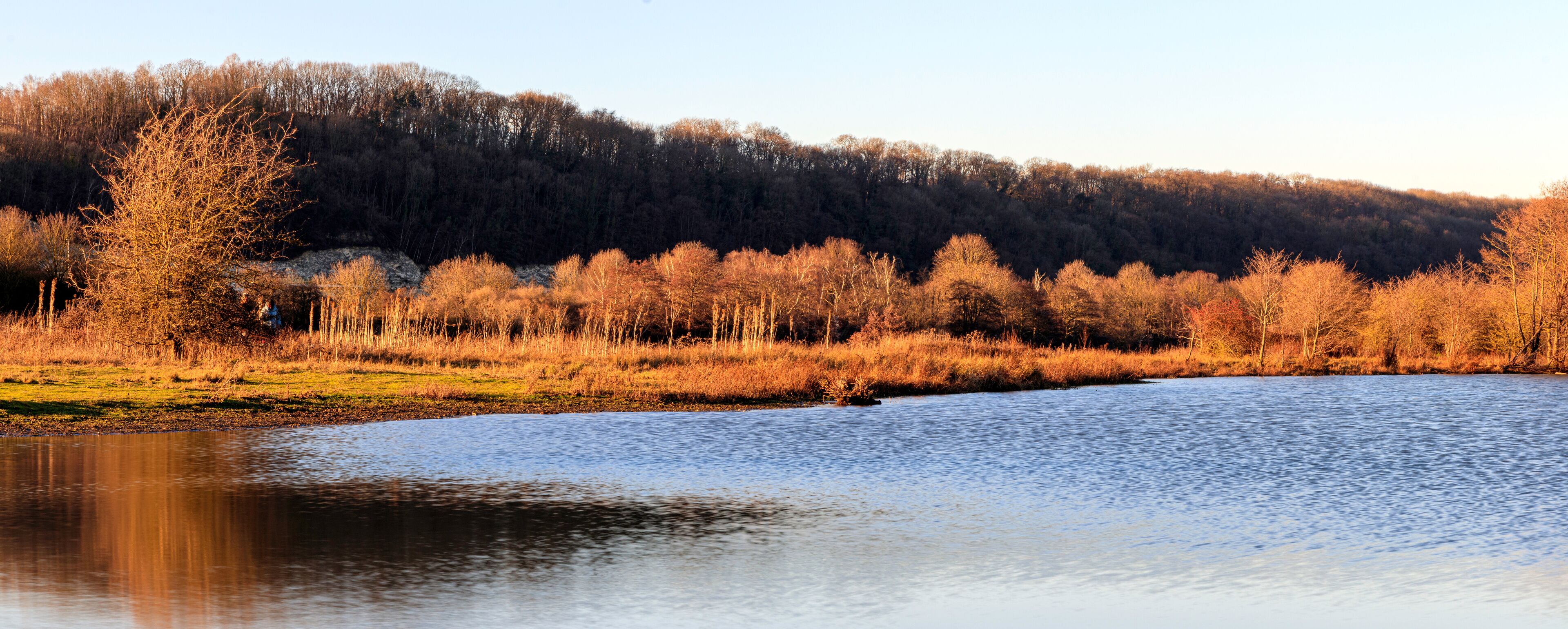 A calm river with a forested hillside in the background.