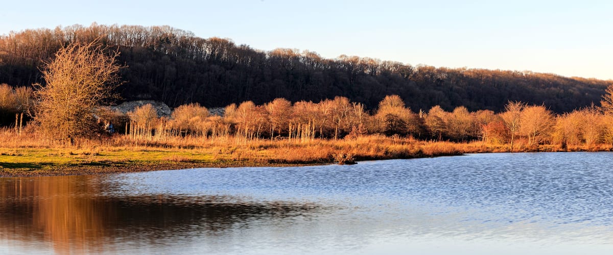 A calm river with a forested hillside in the background.