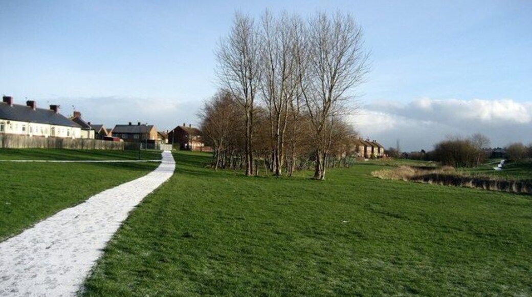 Path by River Don at Boldon Slight sprinkling of snow on the path. The River Don wends its way through a green corridor between West Boldon and New Town