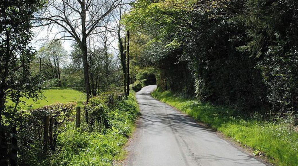 Minor road near Pont Gelli-goch The road from Glaspwll, just before it meets the A487.