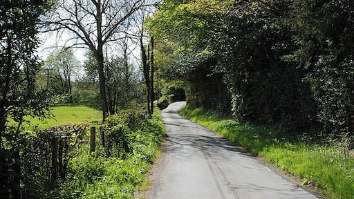 Minor road near Pont Gelli-goch The road from Glaspwll, just before it meets the A487.