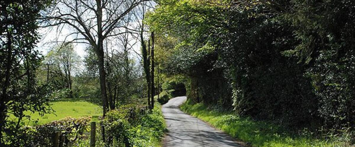 A narrow rural road flanked by lush greenery and trees, leading into a wooded area.