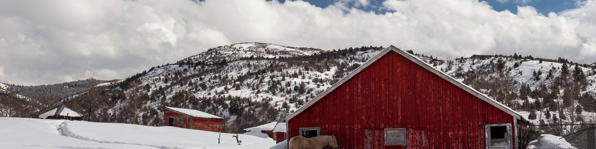 There's something that always calms me about the blank canvas that snow gives. It seems to turn the mundane into a beautiful mystery. In this case, a charming weathered barn that I'm sure could tell a few stories given the chance. To me, the horse represents life, telling us that although the barn has seen a few years, it's not done yet. The old gal has some more fight left in her.
#redbarn #snowfields #snowscape #whitehorses #rurallifestyle #rurallandscape #roadsidephotography #utahtravels #ruralamerica #exploringutah #kamasutah #beavercreek #horseland #winterlife #whitewinter #winterwonderland #wonderingphotographers #contrastingcolors #wintermountain #photographylifestyle #roadtriplife #countyliving #thrivingchristianartists #lonecoyotestudio #nealdodson