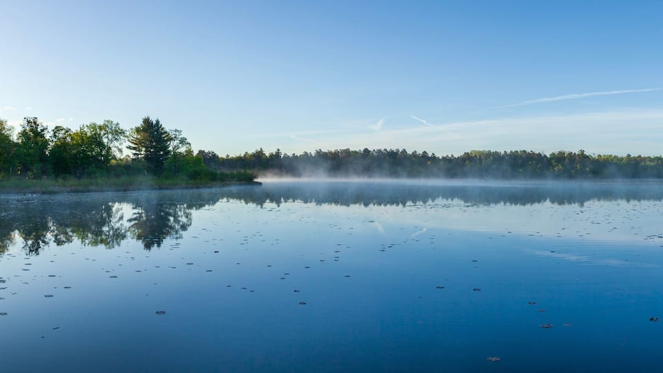 A calm lake with reflections of trees and a clear sky.