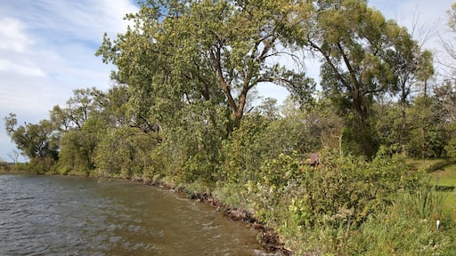 Pristine Lake Clitherall shoreline. Clitherall Minnesota MN USA