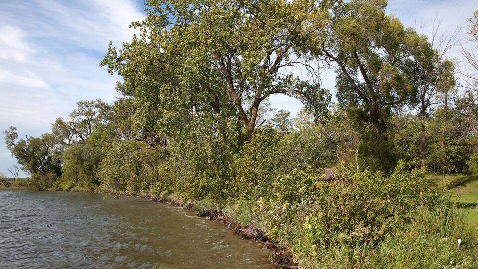 A river with trees and greenery along the banks.