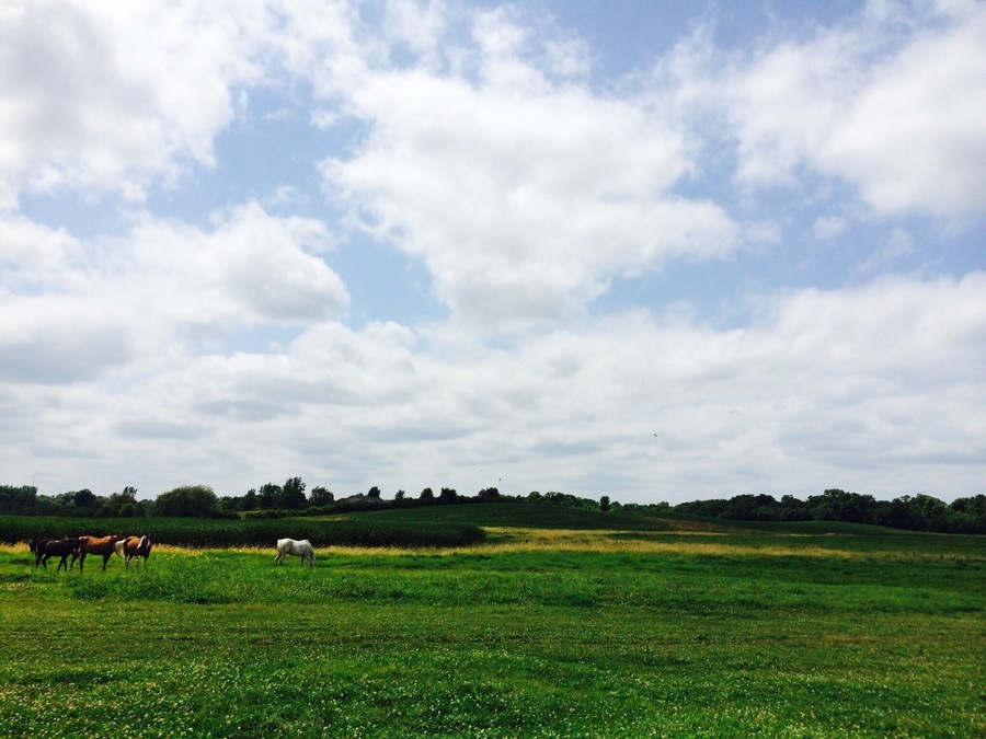 Country road, take me home.