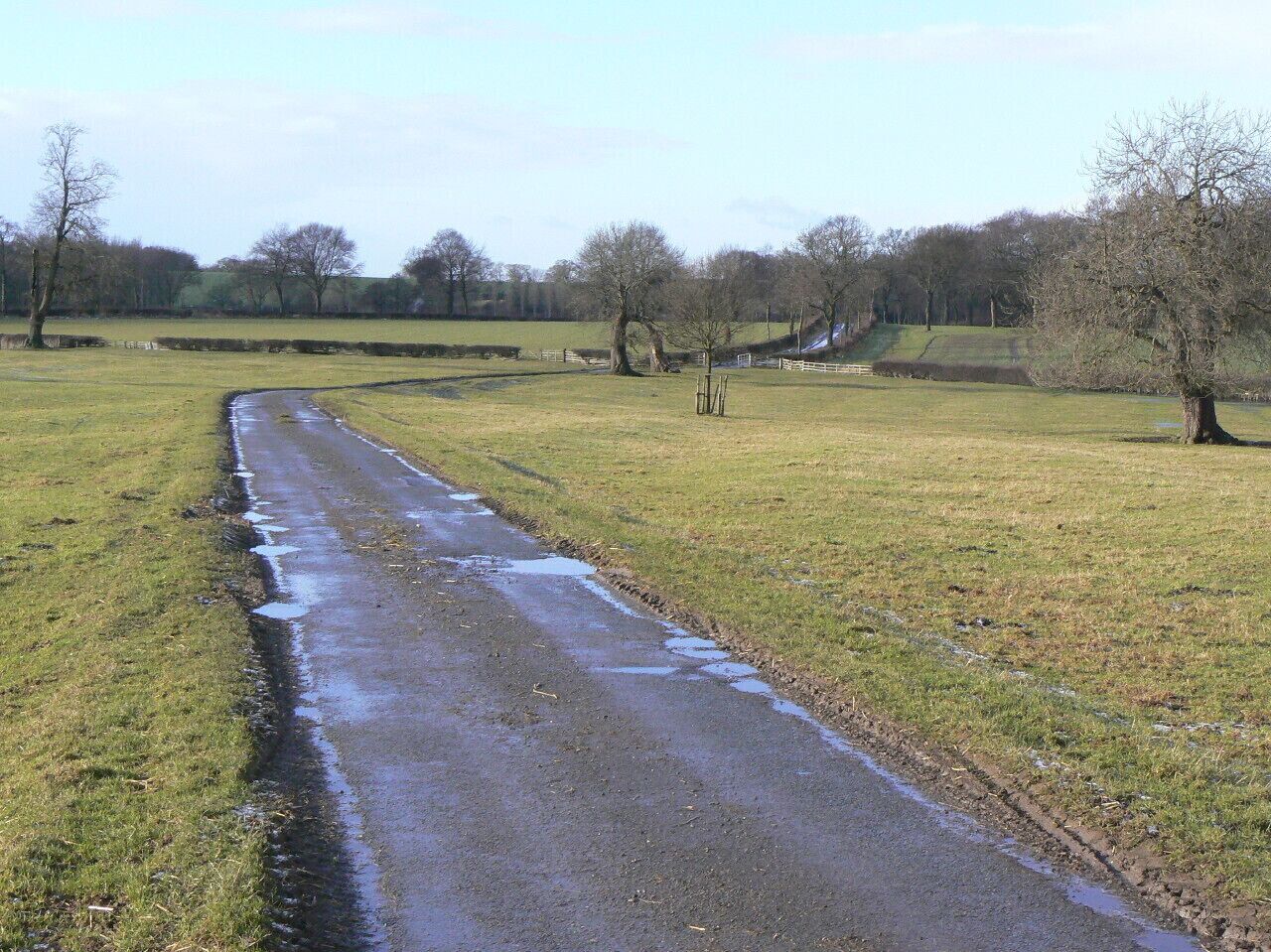 Clipt Lane Looking west towards Brawith Hall. A fine example of an unfenced road passing through parkland-style farmland.