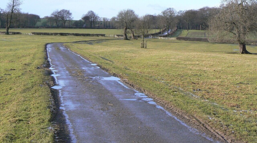 Clipt Lane Looking west towards Brawith Hall. A fine example of an unfenced road passing through parkland-style farmland.