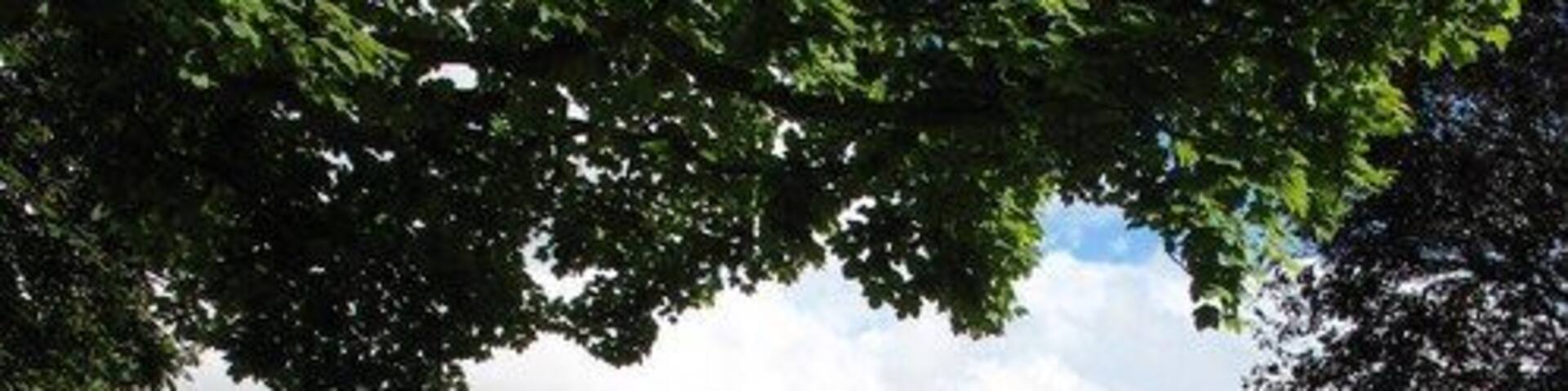 Village scene, Knayton Taken at the junction of Main Street and Swan Lane. Knayton's main street is now a quiet backwater as both it and Swan Lane are cul de sacs.