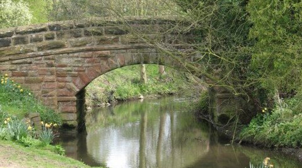 Bridge over Cowesby Beck A sturdy stone bridge carrying a country lane over the beck.