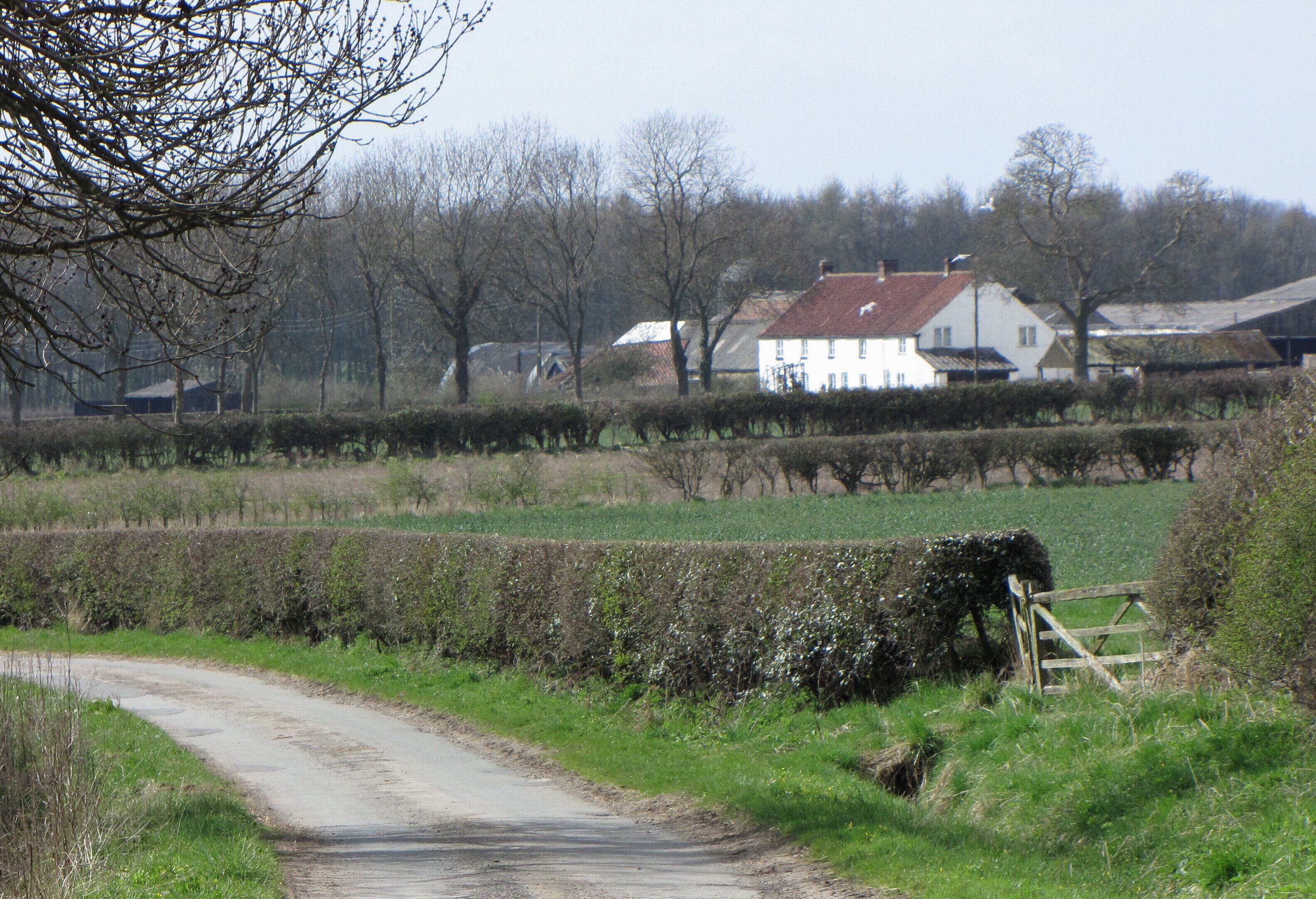 Knayton Grange Approaching along Mill Gate