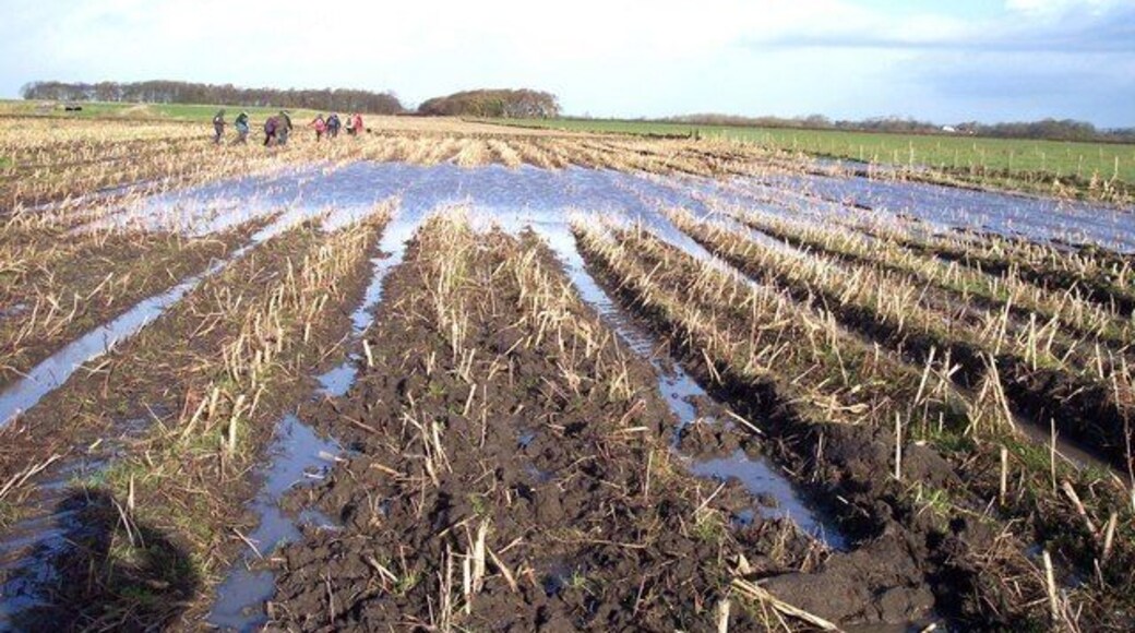 Flooded fields near Fairfield farm The public footpath is blocked by flooding, view shows Cuckoo Wood and Top Moss Wood in the left distance.