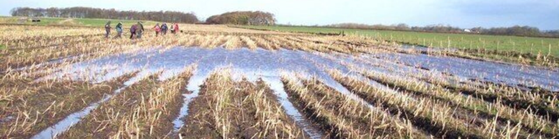 Flooded fields near Fairfield farm The public footpath is blocked by flooding, view shows Cuckoo Wood and Top Moss Wood in the left distance.