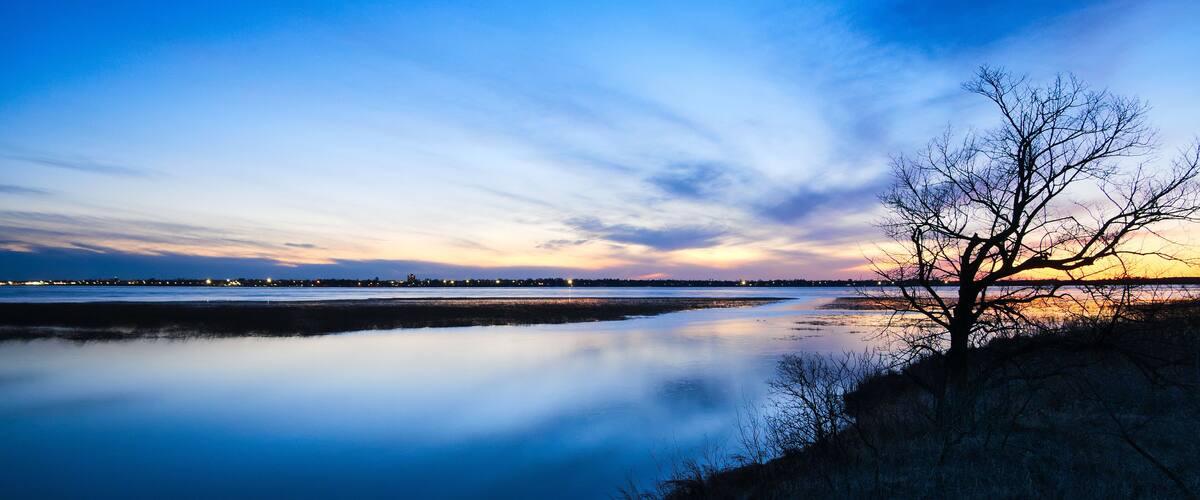 A calm river at dusk with a tree silhouetted against the sky.