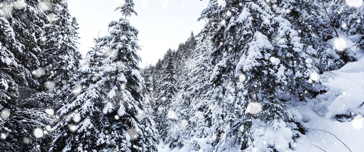 Wonderful wintry landscape.