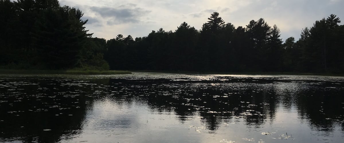 Just north of St. Cloud, MN, Barnum Lake is one of 10,000 lakes in Minnesota. Stayed with our friends from Venice, Florida who own a picturesque home in northern Minnesota.