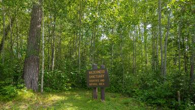 Uma placa em uma área arborizada com a inscrição 'Wilderness Sanctuary Scientific and Natural Area'.