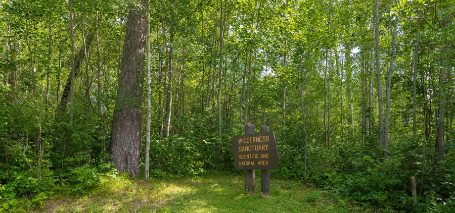 Wooden sign marking a Wilderness Sanctuary in Itasca State Park, located in a forest area in northern Minnesota.