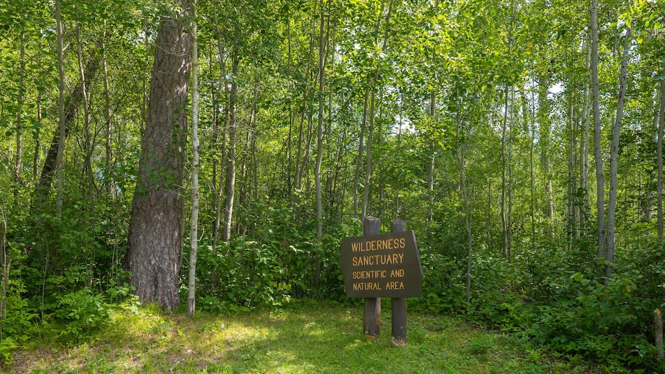 A sign in a forested area reading "Wilderness Sanctuary Scientific and Natural Area."
